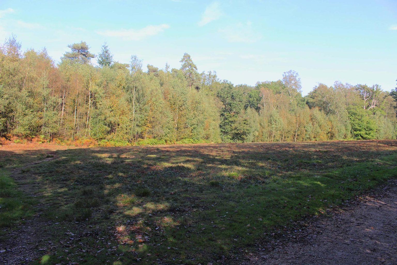 Parkland space for movies and tv in England