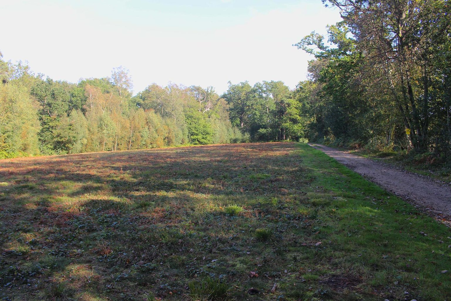 Parkland space for movies and tv in England