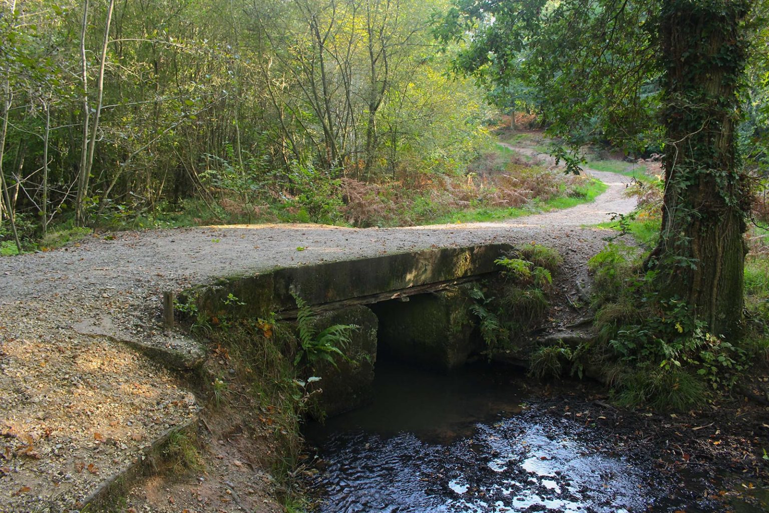 Englefield Estate Brook Filming Location