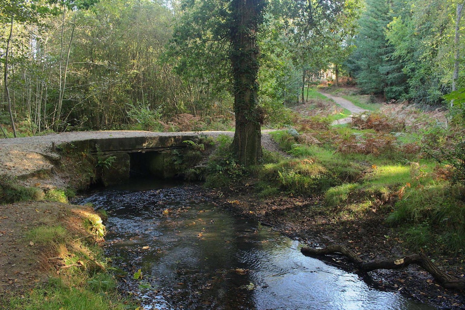 Englefield Estate Brook Filming Location