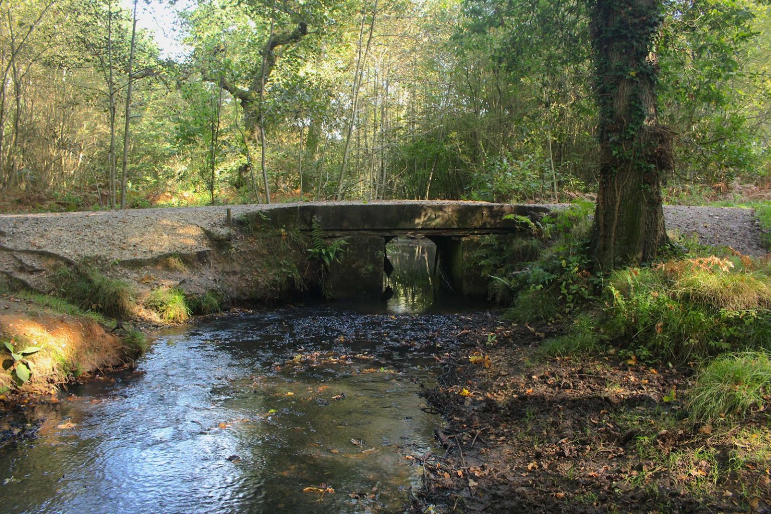 Englefield Estate Stream Filming Location