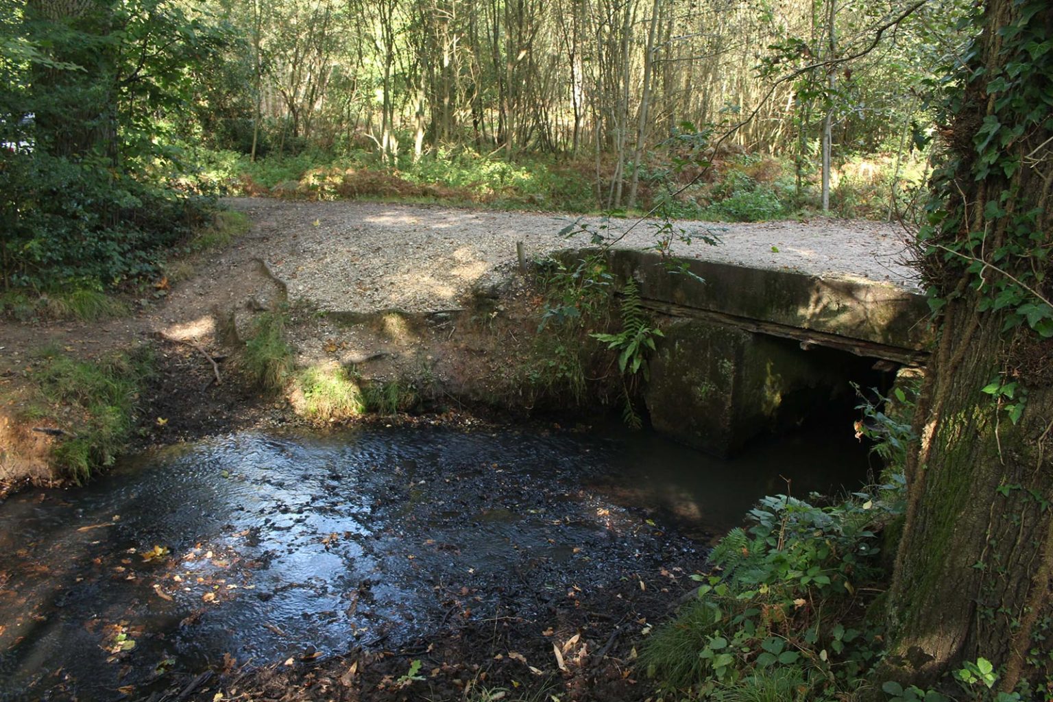 Englefield Estate Stream Filming Location